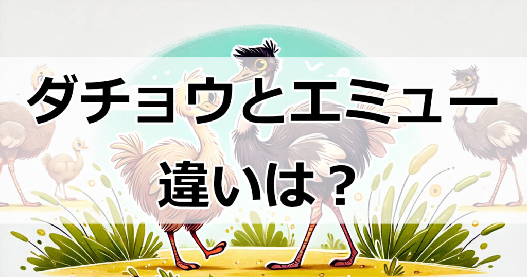 ダチョウとエミューの違いって？ペットとしての飼育方法も紹介