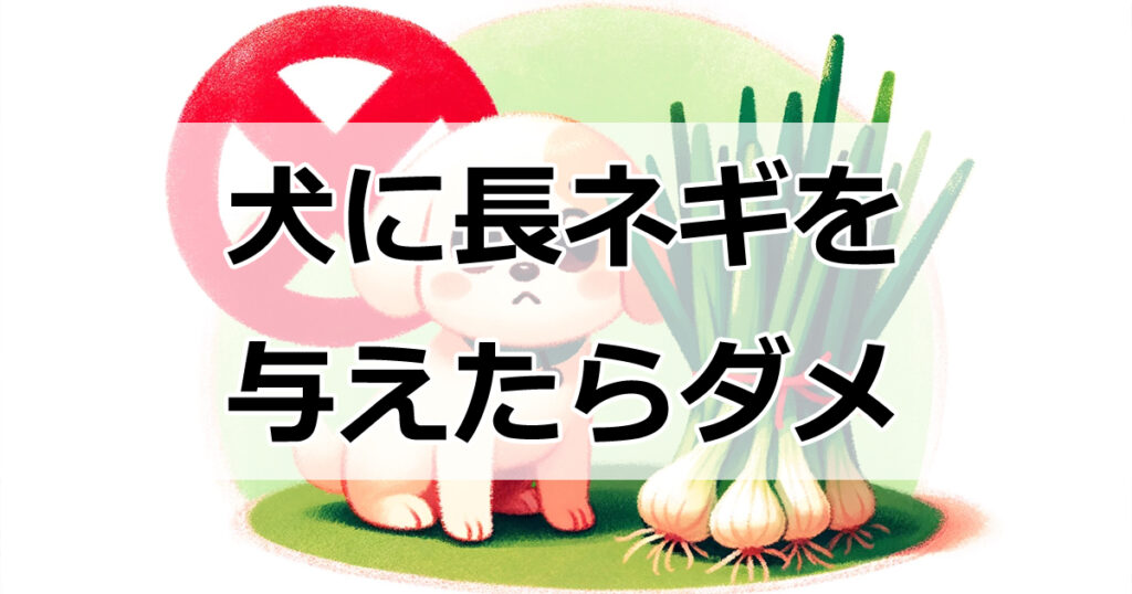 犬に絶対NGの食べ物！長ネギを与えてはいけない理由