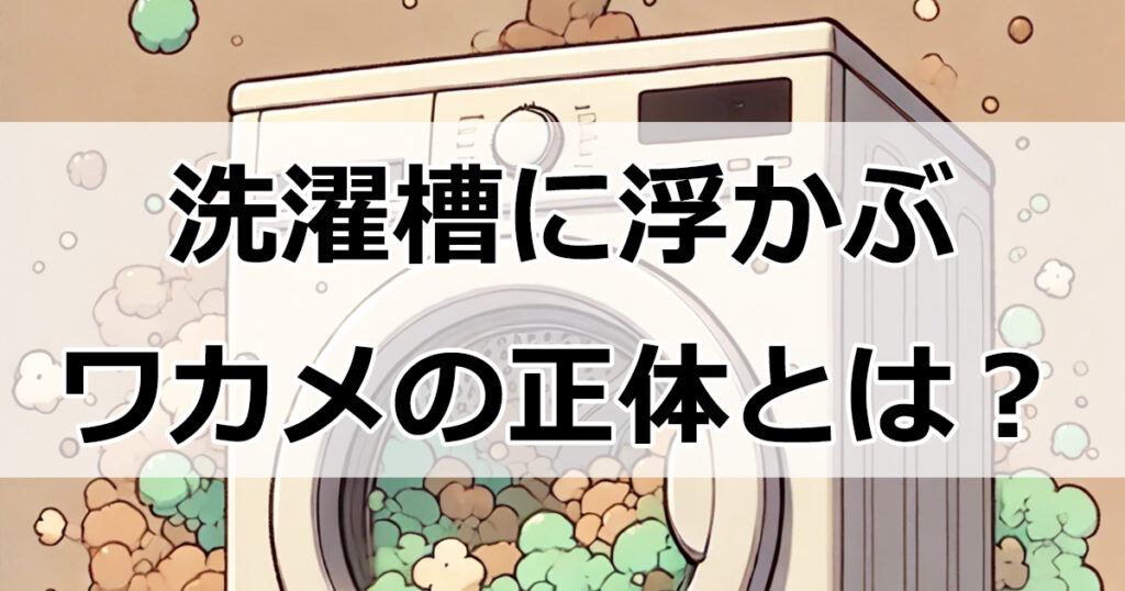洗濯槽に浮かぶワカメの正体とは？黒カビを防ぐベスト対策